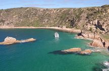 Cape Woolamai Sightseeing Cruise from San Remo