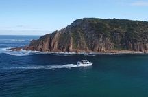 Cape Woolamai Sightseeing Cruise from San Remo