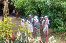 Coffee tour+Guatape 
