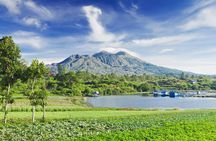 Highlights of Ubud & Mount Batur Volcano - Private Day Trip