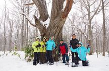 Nagano Snowshoe Hiking Tour