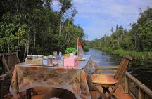 4-Day Private Orangutan and Bornean Primates Tour from Pangkalanbuun