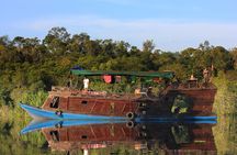 4-Day Private Orangutan and Bornean Primates Tour from Pangkalanbuun