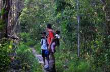 2Ns Experience Kelotok River Cruise in Orangutan's Homeland