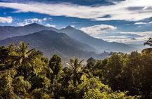Munnar historical trail- (walk into Tea garden, village & market)