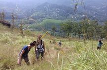 Munnar historical trail- (walk into Tea garden, village & market)