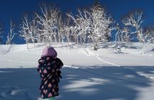 Snowshoe Hike Tour from Sapporo