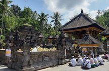 Balinese Ritual Purification Tour