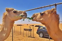 German-speaking Safari Oman
