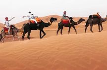 Overnight Desert Tours from Fez to Fez