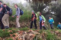 7-Day Kilimanjaro Climb Machame Route–The Best Path to Uhuru Peak