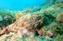 PADI Open Water Diving Course
