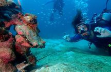PADI Open Water Diving Course