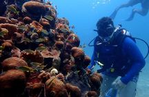 PADI Open Water Diving Course