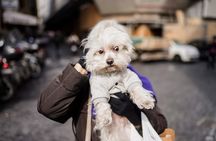 Rome Street Photography Lesson