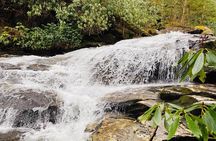 Thundering Streams and Falls of the Smokies Guided Hiking Tour