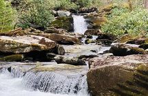 Thundering Streams and Falls of the Smokies Guided Hiking Tour