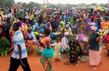 Genuine "4 Tours In 1 Day" (south of Gambia)