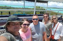 Providenciales Unmissable Sightseeing Tour