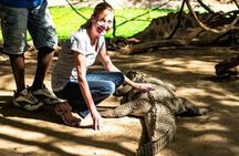 Genuine "4 Tours In 1 Day" (south of Gambia)