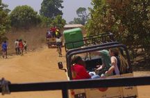Genuine "4 Tours In 1 Day" (south of Gambia)