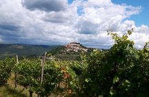 Wine Tour - The Best of Istria