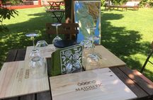 Wine Tour - The Best of Istria