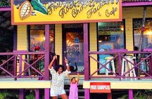 Chocolate Factory, Rum Factory, Markets, Island Tour, Private Transfer