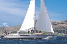 Hobart Sailing Experience