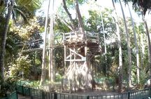 Zip Line over the Dunns River Falls 