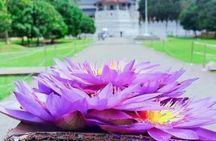 Kandy City Day Tour