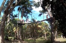 Zip Line over the Dunns River Falls 
