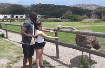 Table Mountain and Cape of Goodhope 