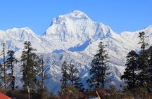 Mohare Danda Trek