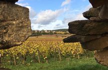 Wine tour and tasting in Burgundy