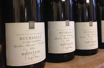 Wine tour and tasting in Burgundy