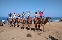 Historical and Cultural Tour of Tangier