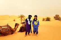  Marrakech To Casablanca Tour