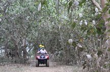 Bali Atv Riding through Cave and Waterfall 