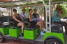 Golden Bridge Ba Na Hills via Cable Car & My Son Sanctuary Fullday Tour