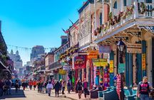 New Orleans Private Kickstart Tour with a Local 