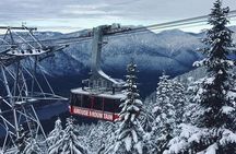 Vancouver City Tour With Stanley, Grouse Mountain & Capillano Suspension Private