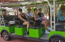 MY SON MORNING PRIVATE TOUR from 7:30a.m to 11:45a.m from Da Nang or Hoi An City
