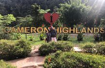 10 Days Best Of Malaysia Langkawi Island Penang Cameron Highland & Kuala Lumpur