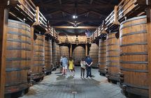 Etna Wineries Tour - Small Groups from Taormina 