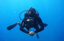 Scuba Diving at Unawatuna