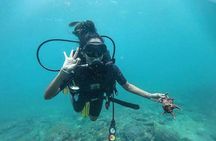 Scuba Diving at Unawatuna