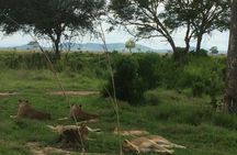 A day trip to mikumi from morogoro