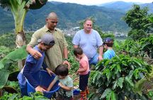 Coffee Tour Los Sauces