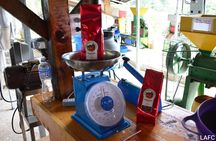 Coffee Tour Los Sauces